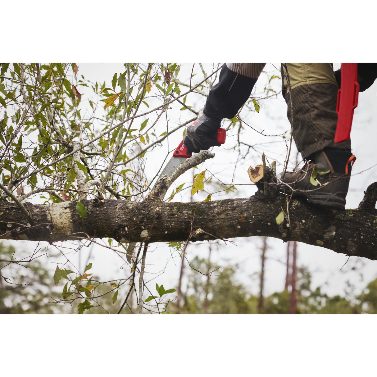 Milwaukee Handsäge gebogen m.Holster Blatt 33 cm 4932498623