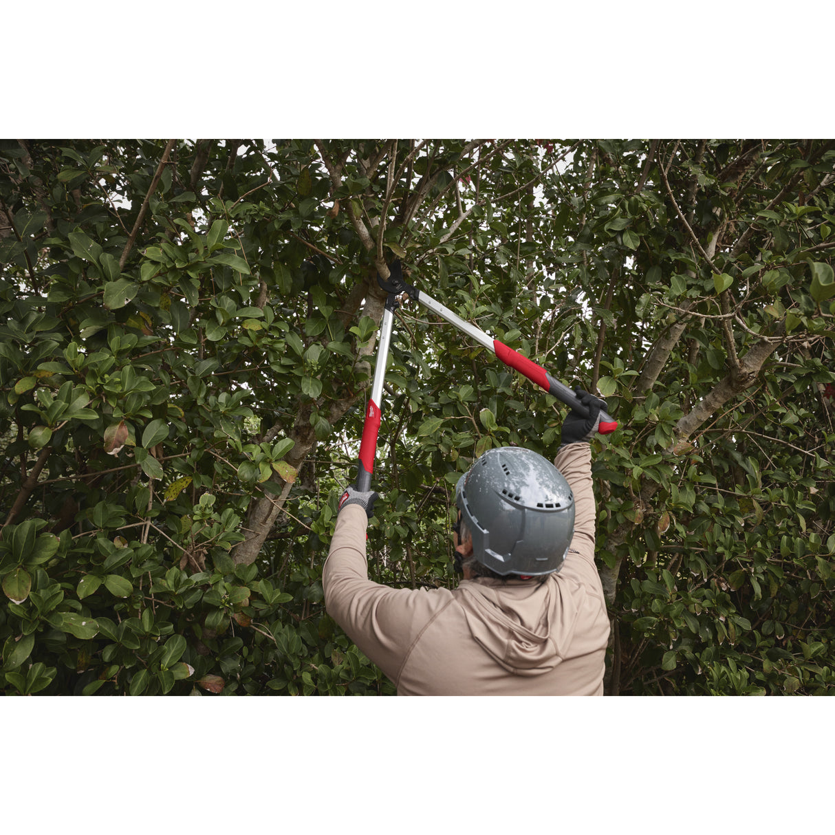 Milwaukee Bypass Astschere 50 mm, 85 cm lang 4932498625